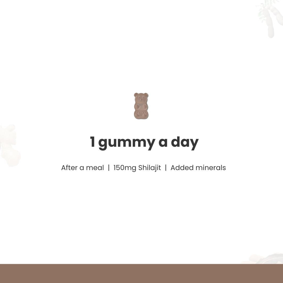 YUVA Wellness Shilajit + Ashwagandha Gummies